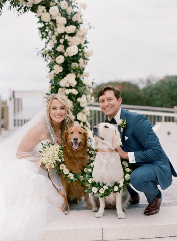 Bride and groom with dogs wearing flower collars